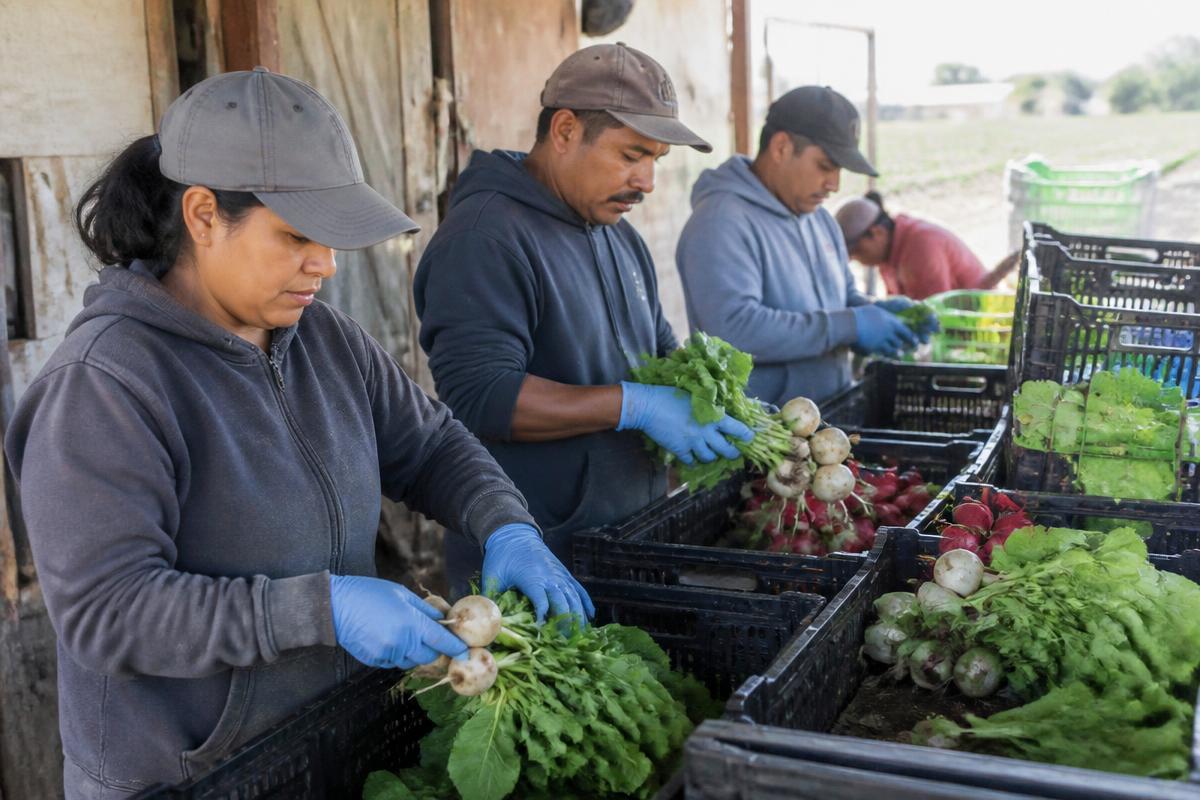 Agriculture operations